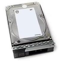 Dell SERVER HDD 12TB 7.2K NLSAS/3.5'' 14GEN 161-BCJX 161-BCJX