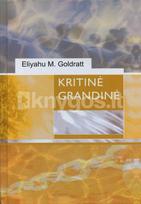 Kritinė grandinė - Eliyahu M. Goldratt