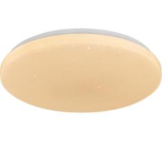 Rabalux 71446 - Dimeriuojamas LED lubų šviestuvas DANNY 2 LED/34W/230V 3000-6500K Ø 38 cm + su nuotoliniu pulteliu