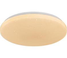 Rabalux 71448 - LED dimeriuojamas lubinis šviestuvas DANNY 2 LED/80W/230V 3000-6500K skersmuo 77 cm + nuotolinio valdymo pultu