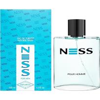 Evaflor Ness vyriškas tualetinis vanduo 100 ml