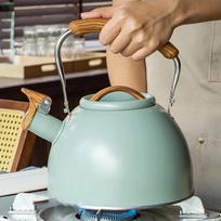 Stainless Steel Whistling Tea Kettle Light Green Flat Bottom Teapot Whistling Teapot  Home Use
