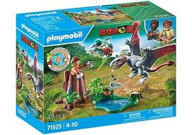 Konstruktorius Playmobil Dinos Observatorija dimorfonui 71525