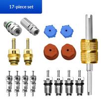 17Pcs Car R12 R134A Refrigeration Schrader Valve Stem Cores Service Charging Port Seal Caps Kit Air Conditioning Valve Core