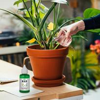 Flower Fruit Plant Nutrient Solution 50ml Outdoor Soil Growing Plant Food Promotes Healthy & Strong Growth For Gardenia Orchid 50ML