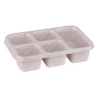 Lunch Box with Lid Five-Compartment Design Convenient Healthy Odorless Food Storage Containers for Snacks And Fruits smėlis