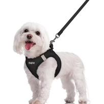 Walk-in dog harness and leash set, all-weather breathable mesh, reflective, soft and lightweight pet vest. (black,XS) juoda
