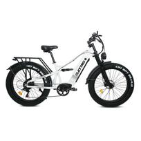 2026 naujas modelis Naujo galingo 3000W elektrinio dviračio ebike pristatymas, kurio didžiausias greitis 60km/h-65km, ES7pro riebios padangos dvigubos variklio elektrinis dviratis 1500W 52V 19AH