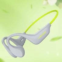Lanston BE20 Amphibious Bone Conduction Sports Headphones