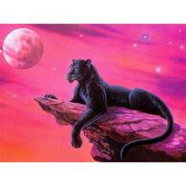 5D DIY Diamond Painting Panther Moon Diamond Embroidery Full Mosaic Kits Cross Stitch Home Decor Handmade Gifts Round 20x30cm