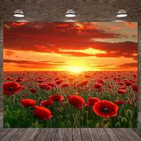2D Poppy Flower Field Sunset Backdrop for Nature Photography & Landscape Shoots 47.2x31.5inch/120*80cm