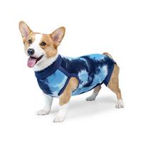 Dog Accessories Elastic Dog Anti-lick Recovery Suit Soft Thin Dog Recovery Bodysuit Breathable Dog Weaning Bodysuit for Pets (Blue,XXS) mėlyna