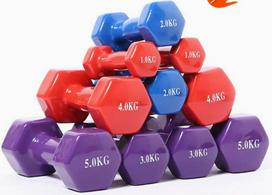Rubber-Coated Hexagonal Dumbbell - Smooth Surface for Home Fitness, Cast Iron Core, Plastic-Dipped 1kg * 1