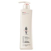 ADOLPH Clarifying & Refreshing Shampoo with Essential Oils