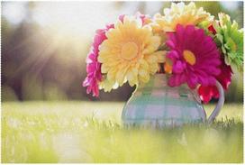 Stoff-Tischsets, waschbare Tischsets für Esstisch, 6er-Set, Vaza Farbige Chrysantheme Sonnenlicht