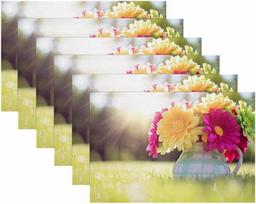Stoff-Tischsets, waschbare Tischsets für Esstisch, 6er-Set, Vaza Farbige Chrysantheme Sonnenlicht