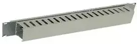 Triton ORGANIZATORIUS LAIDAS 19" 1U RAC-VP-X02 TRITON (RAC-VP-x02-A1)
