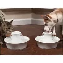 PetSafe Drinkwell Avalon fontanėlis girdykla šunims ir katėms 2L