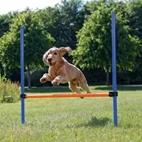 TRIXIE Agility kliūtis, 123x115 cm, plastikas, 3207