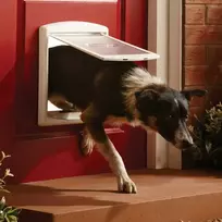 PetSafe Staywell durelės dviejų padėčių iki 18kg šunims baltos
