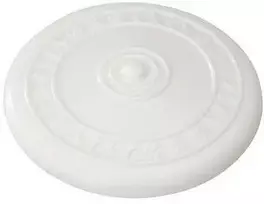 EBI Žaislų guminis Frisbee Baltas / vanilla 23cm
