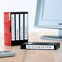 Herma VHS kasetinės etiketės 147.3x20 mm (5069)