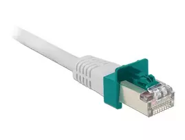 Delock Saugus klipas RJ45 Pradžia rinkinys 20 dalis (8606)