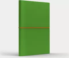 Like U Notebook A5 Fun M šviesiai žalias / oranžinis tinklelis