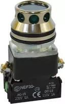 Promet Valdymo mygtukas 30mm žalias su apšvietimu 2Z 24V (W0-NEE30-KL 2X Z)