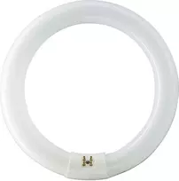 Philips Master TL-E Circular Super 80 G10q 32W 2375lm 3000K liuminescencinė lempa (8711500559685)