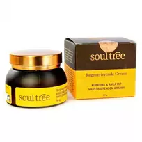 Atkuriantis veido kremas su ciberžole, amla ir brahmi SoulTree , 50g