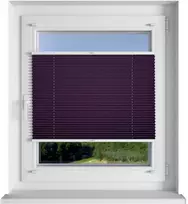 Plisuotos žaliuzės PLI 2407 75cm x 155cm
