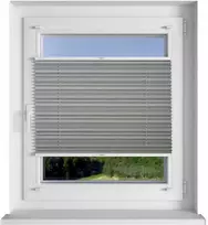 Plisuotos žaliuzės PLI 2711 75cm x 200cm