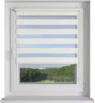 Roletai diena-naktis BH-1102 70cm x 205cm