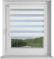 Roletai diena-naktis BH-1309 90cm x 160cm