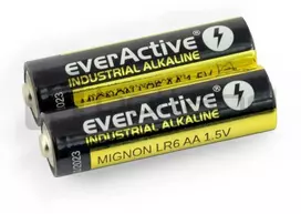AA baterija (R6 LR6) šarminė EverActive - 2vnt