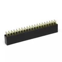 Oem Goldpin karpomų lizdų juosta 2x20 kaiščių 2.54mm - skirta Raspberry Pi