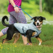 Kurgo Core Cooling Vest šaldanti liemenė šunims, Small, Mėlyna