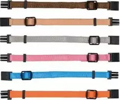 Trixie Junior Antkaklių kompl., M–L 22–35 cm/10 mm, 6 vnt. fuksija, grafito, ind (pak.4)
