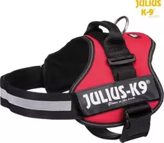 Trixie Petnešos šuniui 2XL/3: 82–116 cm/50 mm, raudona