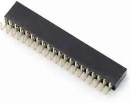 Oem Karpomas lizdas 2x20 kaiščių 2.54mm skirtas Raspberry Pi - kampinis