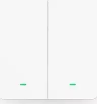 Išmanusis šviesos jungiklis WiFi Gosund SW9 Tuya