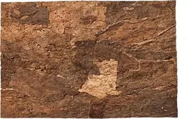 Terra Natura Terariumo fonas, VIRGIN kamštinė lenta 60x30cm (kilmės šalis: Portugalija)
