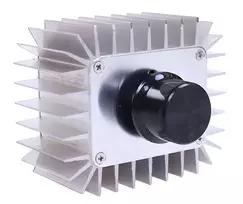 Oem AC variklio reguliatorius SCR 220V 5000W
