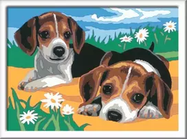 Ravensburger CreArt spalvinimo knygelė vaikams Jack Russel šuniukai 24x18cm