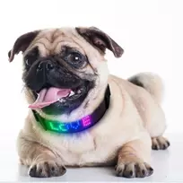 Doggy Village Programuojamas / interaktyvus antkaklis su spalvotu LED ekranu vidutiniams ir dideliems šunims