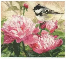 Alisa Beldizart Zylės ir bijūnai S1-22