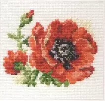 Alisa Beldizart Poppy S0-80