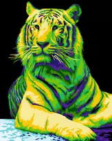 Wizardi Beldizart SALE Dailininko rinkinys 40x50 cm H139