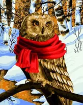 Wizardi Beldizart Dailininko rinkinys 40x50 cm L022